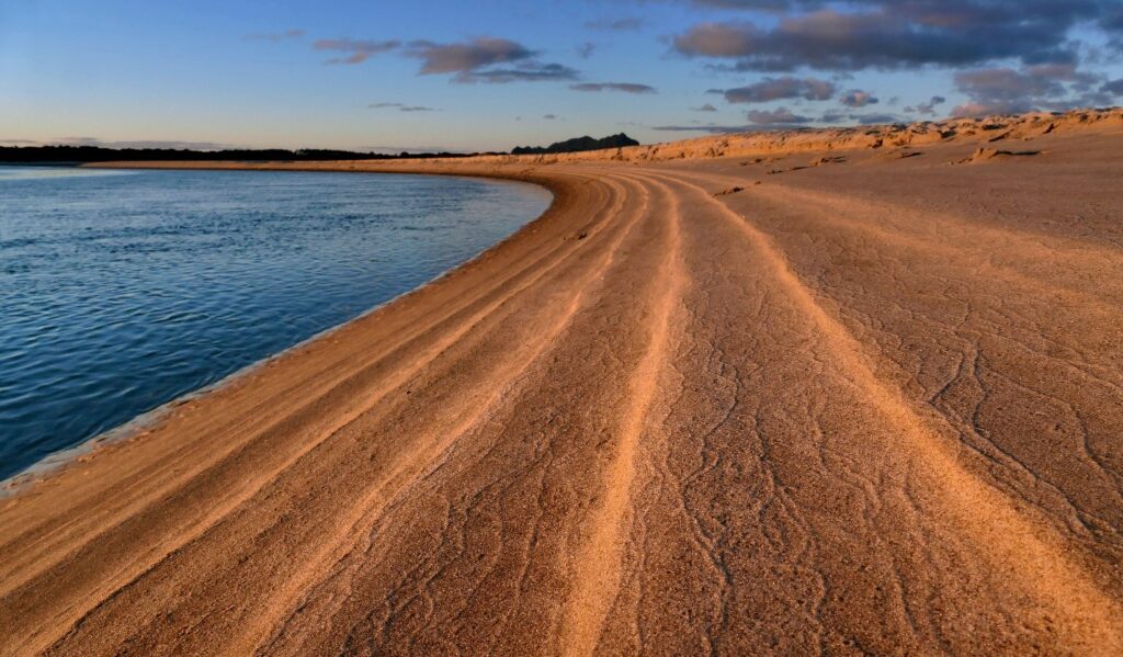 Conservation Before Crisis