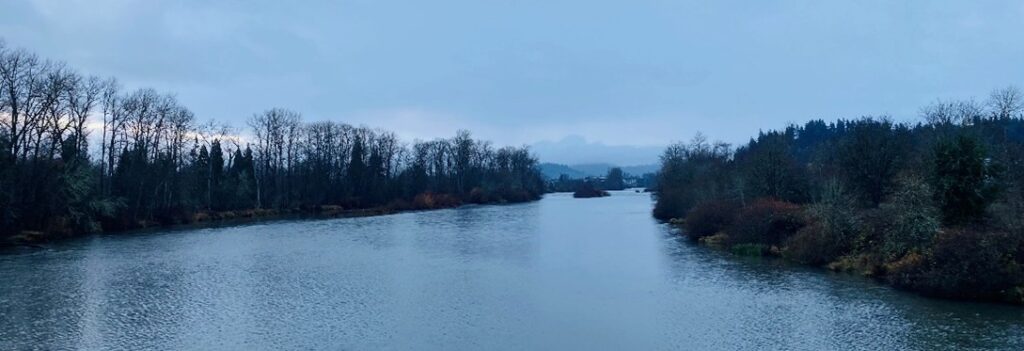 Protecting Salmon and California’s Waters from Toxic Tire Chemicals