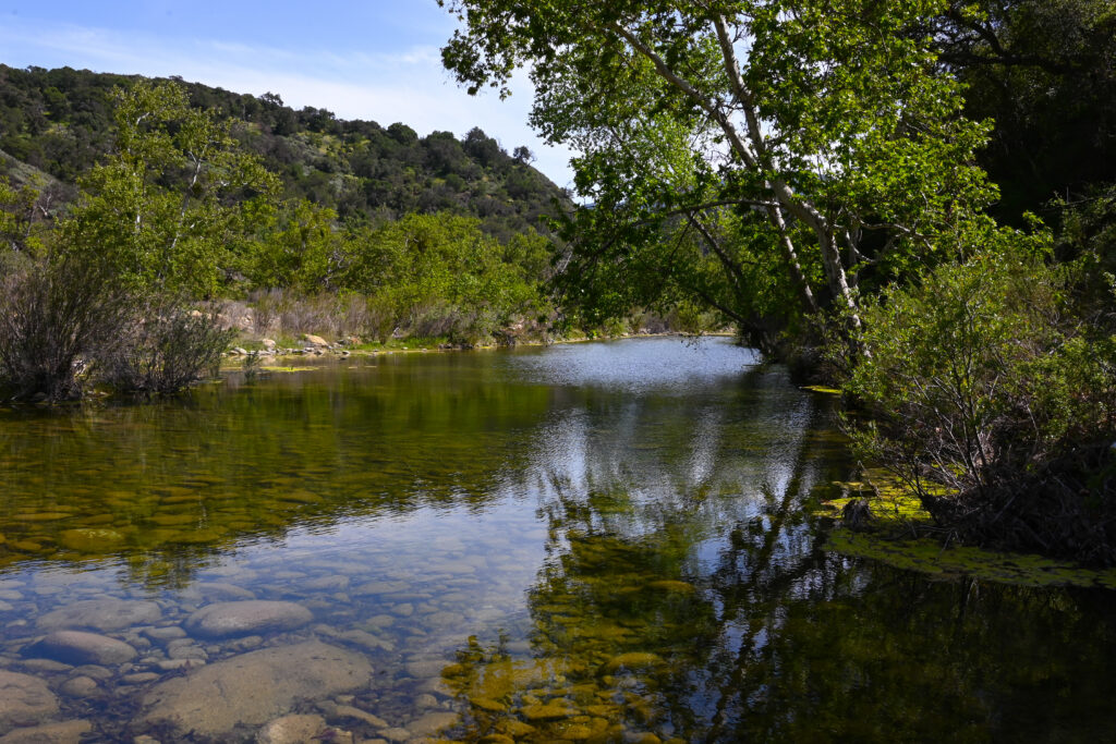 Keeping the Santa Ynez River Flowing