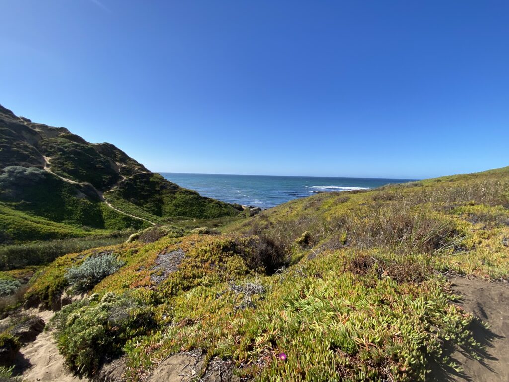 California’s Coast is Under Threat